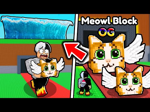 ADMIN DODA TSUNAMI I OG LUCKY BLOCK DO STEAL A BRAINROT!