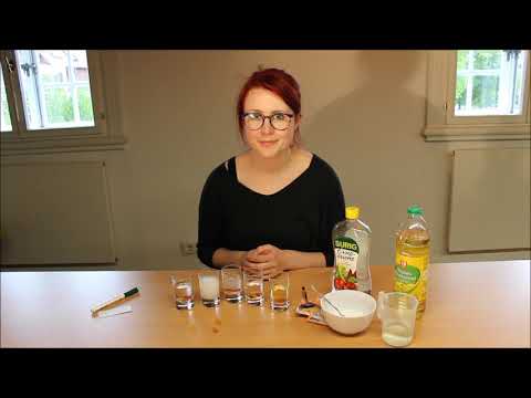 Das Gummibärchen-Experiment | Staunen und Forschen im Erlebnismuseum