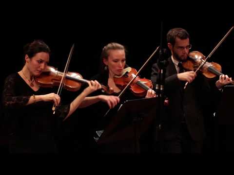 Organ Concerto B flat major Op. 4/2 HWV 290 - Vespres d'Arnadí Baroque Orchestra