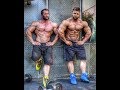 STANIMAL: Vlog à 11 semaines du Ferrigno: ÉPAULES avec REGAN GRIMES