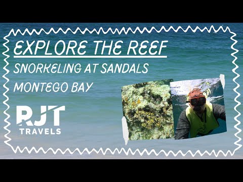 Sandals Montego Bay YouTube video thumbnail