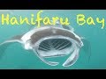 Diving - Manta raid - Hanifaru Bay - Malediven 2017 - Asien, Hanifaru Bay, Malediven