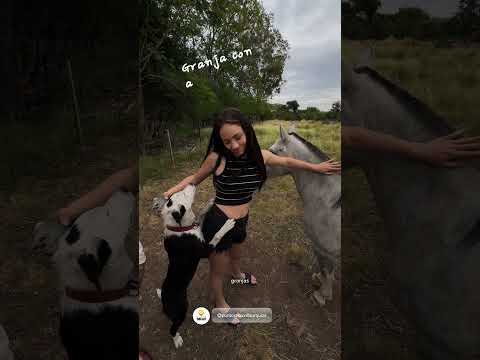 Vivi el Verano en Villa Urquiza Entre Rios!