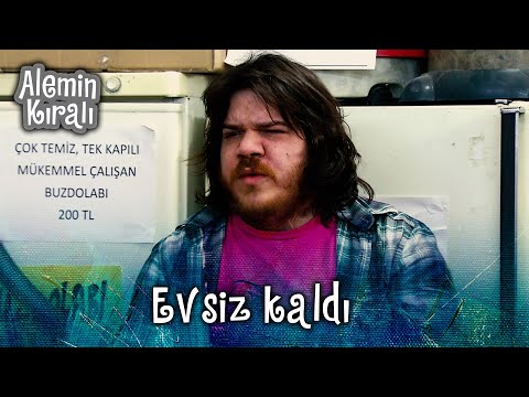 Tapir sokakta kalmış!  | Alemin Kralı