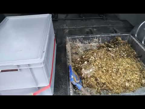 Hühner versorgen und Stall ausmisten…