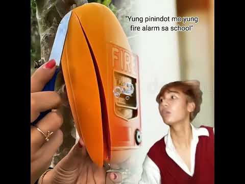 #haveitoldyoulatelythatiloveyou #storytime #ihavethisthingwithplants #funny