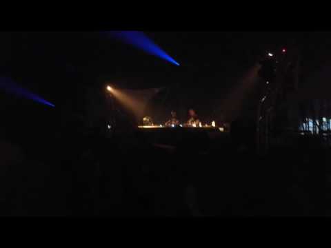 Shelterwood Festival 2016 - Roman Weber