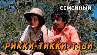 Рикки-Тикки-Тави (1975 год) семейный