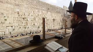 תפילת מנחה ויום כיפור קטן מהכותל המערבי שידור חי