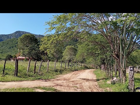 Notícias serra dá Caiçara Maravilha Al 11/06/2026