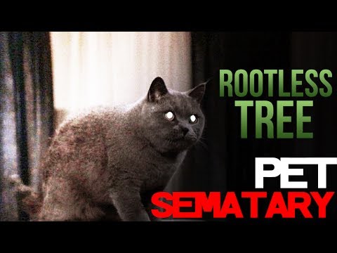 Pet Sematary • Rootless Tree