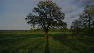 The One AM Radio - The Harvest (with lyrics)