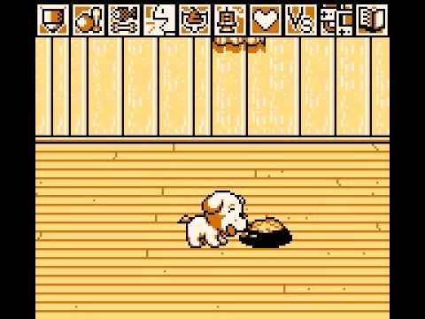 Let's Blindly Play: I Is For Itsudemo Nyanto Wonderful