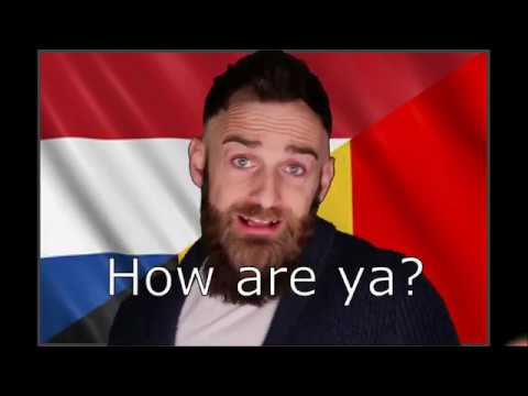 An Open Letter to the Dutch Language