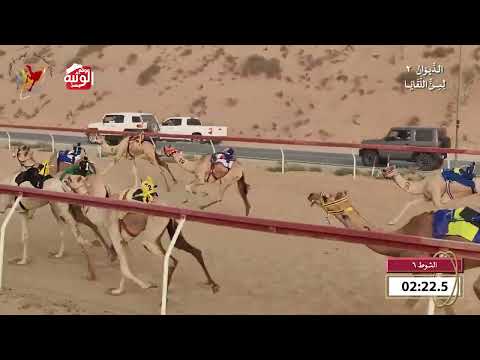  ش 6 (روايا) لـ سعيد خليفه نهيله الكتبي 6:24 , شارة الديوان 2 2026/09/26 لقايا اللبسه 