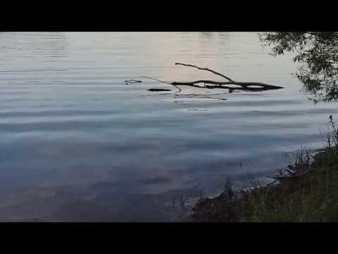 Almanyada Göl Turu # 02