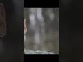 Wada Hai Yeh Tujhse Mere Sanam Sad Song HDSorts 2005 Alka Yagnik Kumar Sanu Lovesong