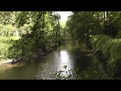 Traumpfade Eifel Mosel Rhein 04 Der Nette   Schieferpfad