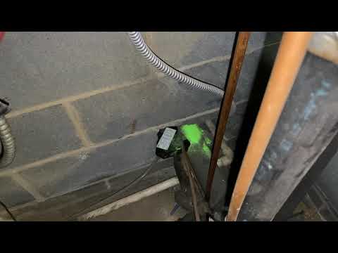 Handling a Mice Problem in Deal, NJ