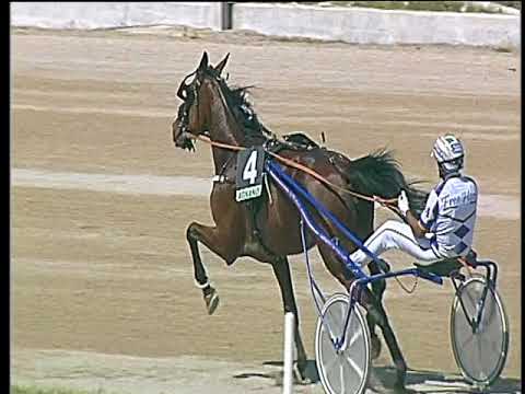 Trotto 18/05/2018 - 1ª corsa