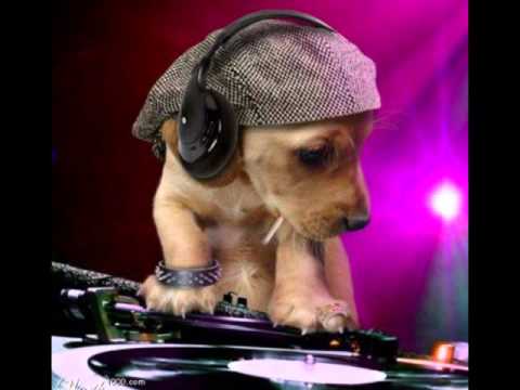 Javi Mula Vs Afrojack Quintino_Dj Mixer remix 2012_(Sexy Lady Vs Selecta)