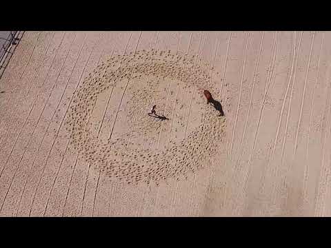 Equestrian home for sale in Spain