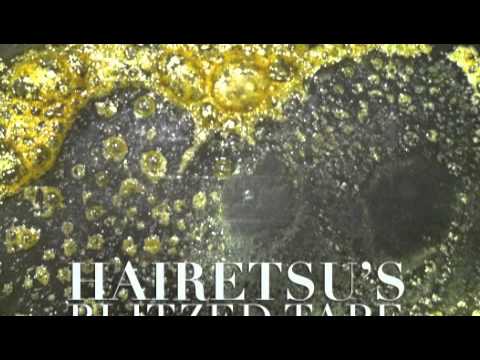 Hairetsu - Fuck The Police