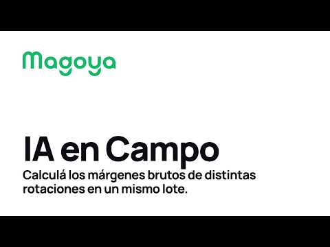 Calculá los márgenes brutos de tus rotaciones en un mismo lote