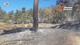 Orman Yangınında İtfaiyecilerin Ölüm Kalım Savaşı