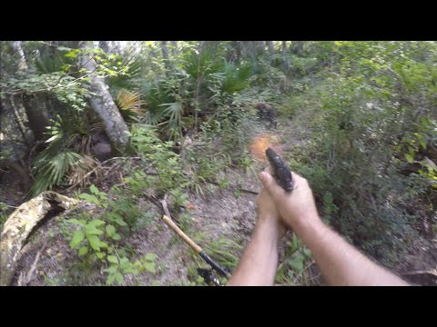 Wild boar charge while fishing