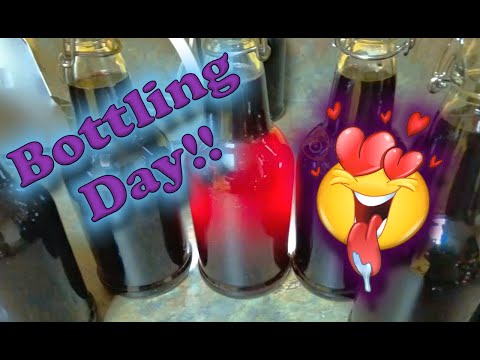 My Mead Diaries - Ep 7, Blueberry Mead - It's Bottling Day!!