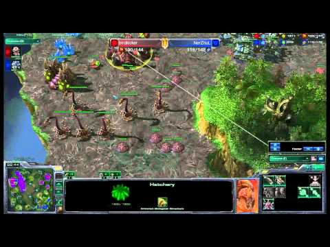 Birdkicker vs NerZhuL