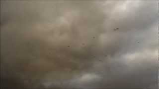 Scenario Fever - We have Failed