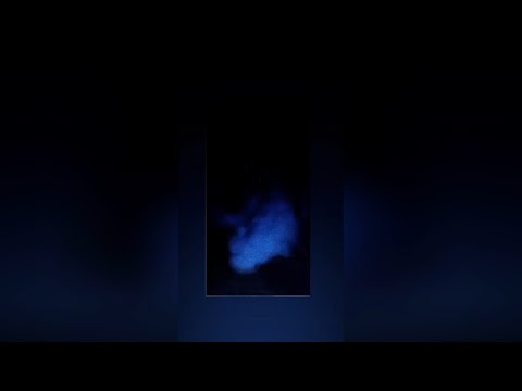 Żółw - Lecisz (prod. Jackz)