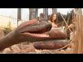 Anaconda 1997 Movie Behind The Scenes Making Of Real Shooting Location Jennifer Lopez