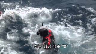 preview picture of video 'Freediving 해양투어 1편-13인의 프리다이버'