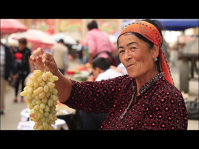 Samarkand Agricultural Institute видео №1