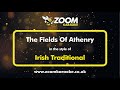 Irish Traditional - The Fields Of Athenry - Karaoke Version from Zoom Karaoke