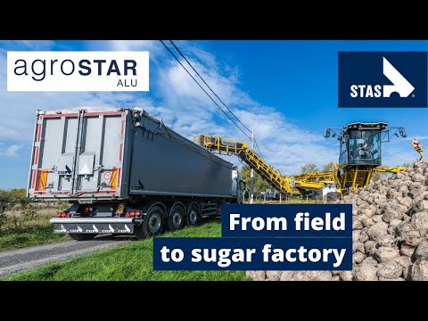 A sweet job: from field to sugar factory with the STAS Agrostar