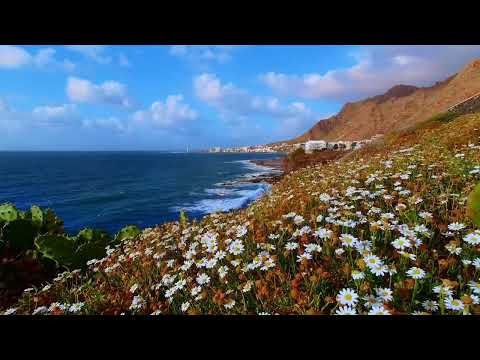 Stunning view, relaxing sound, sea, hills, flowers, calm