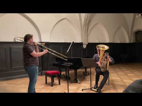 S. Verhelst - Devil’s Waltz // trombone & tuba
