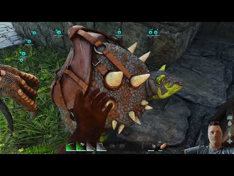 Constructing Castle Walls & City Perimeter | ARK: Survival Ascended
