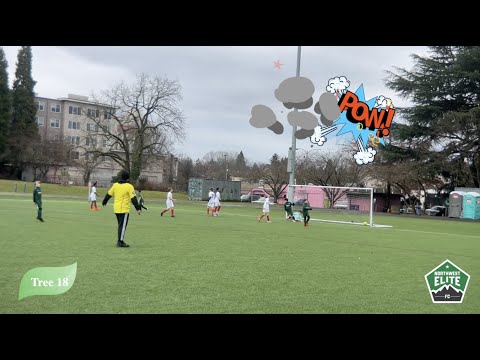 State Cup 2023 : NW Elite 12B (Tree 18)