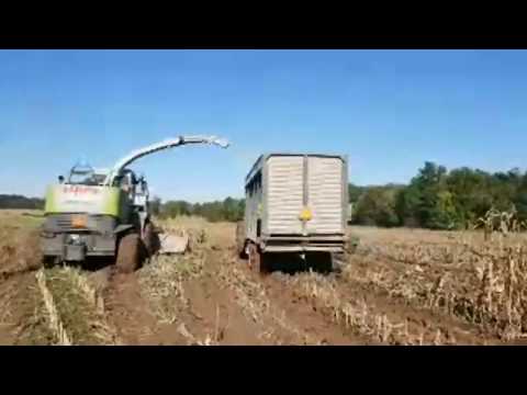 How To Bury A Fendt