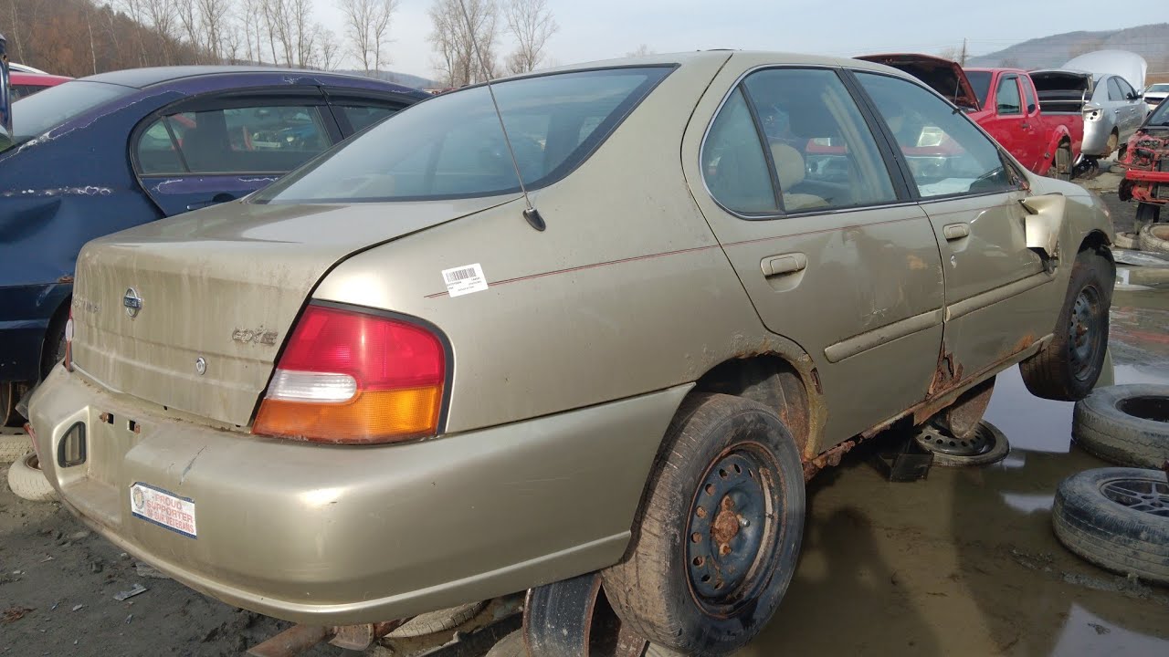 1998 Nissan Altima in the Junkyard