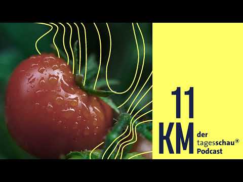 Tomaten aus der Hölle | 11KM - der tagesschau-Podcast