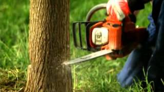 MOTOSIERRA FARMER.wmv