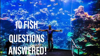 I ANSWER 10 QUESTIONS ABOUT FISH!