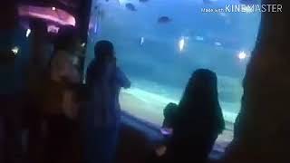 Download lagu EDISI JALAN-JALAN KE ANCOL mp3