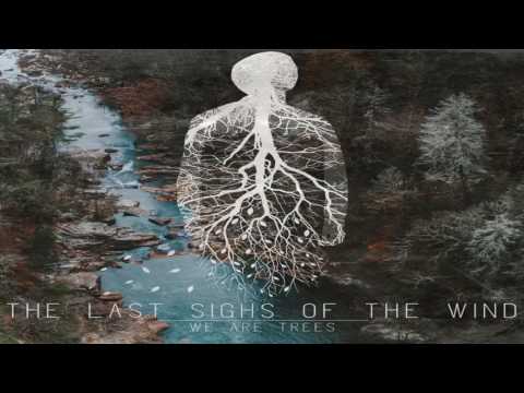 The Last Sighs Of The Wind - The Return Of Thunder